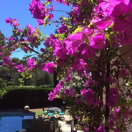 Villa Antibes Sea View Villa - Promo Cannes Film Festival