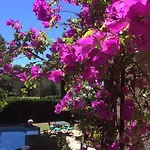 Villa Clair Matin - - Sea View - Pool - Sauna -