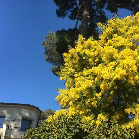 فيلة Clair Matin - - Sea View - Pool - Sauna - *