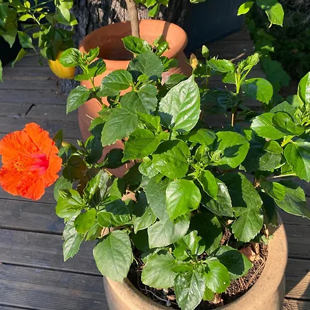 Clair Matin - - Sea View - Pool - Sauna -