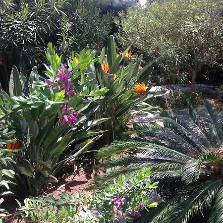 Clair Matin - - Sea View - Pool - Sauna -