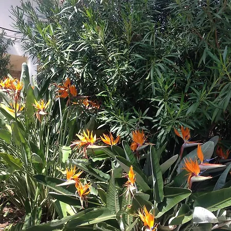 فيلة Clair Matin - - Sea View - Pool - Sauna - أنتيب