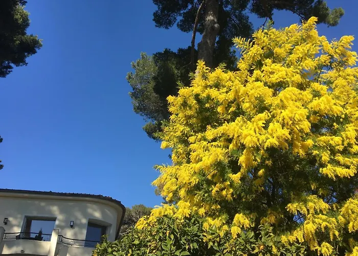 Вилла Clair Matin - - Sea View - Pool - Sauna - *