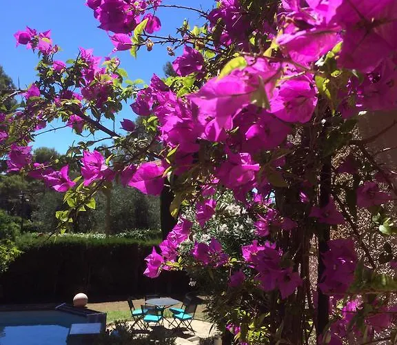 Villa Clair Matin - - Sea View - Pool - Sauna -