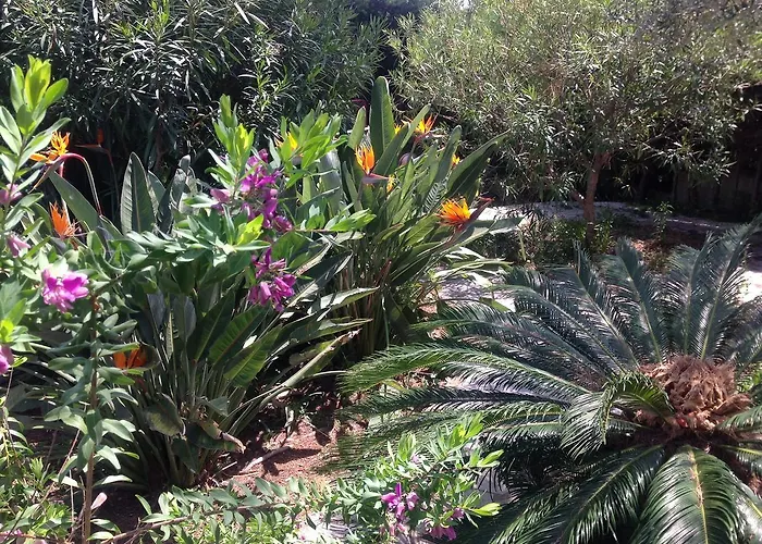 Clair Matin - - Sea View - Pool - Sauna -