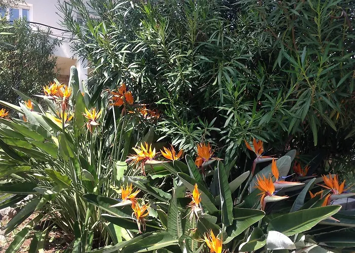 Villa Clair Matin - - Sea View - Pool - Sauna - Antibes